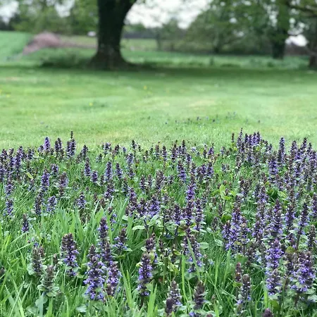 Le Maine D'autana & La Ferme Du Domaine