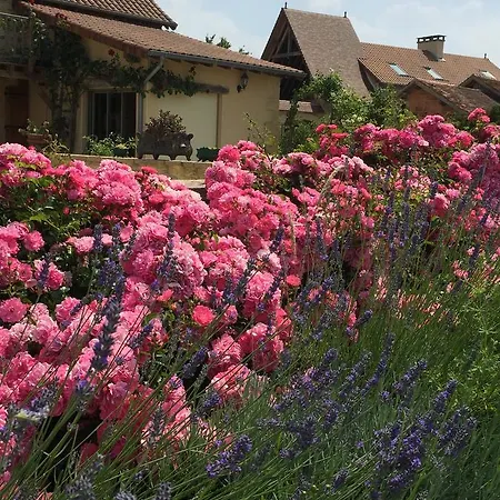 Le Maine D'autana & La Ferme Du Domaine Tatil Evi
