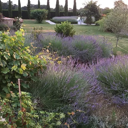 Le Maine D'autana & La Ferme Du Domaine
